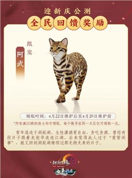 网通仿盛大天龙八部私服
